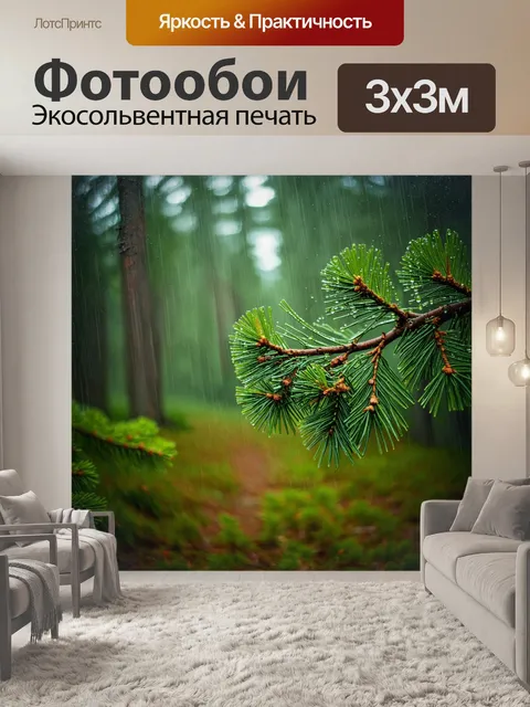 Фотообои сосновый лес в дождливую погоду, капли воды на листьях, полутёплый свет, аромат свежести