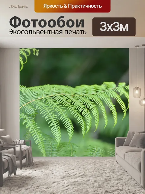 Фотообои Ветвь папоротника