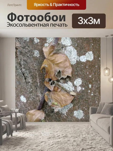 Фотообои Ствол дерева фона