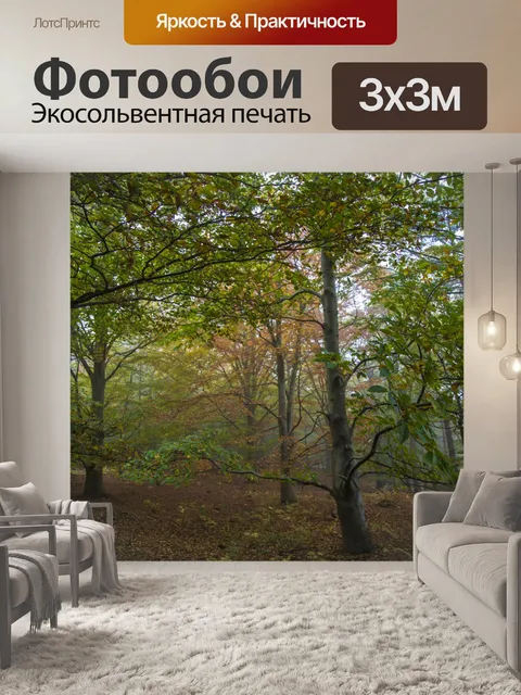 Фотообои Туманный лес