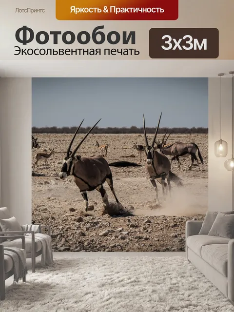 Фотообои Намибия