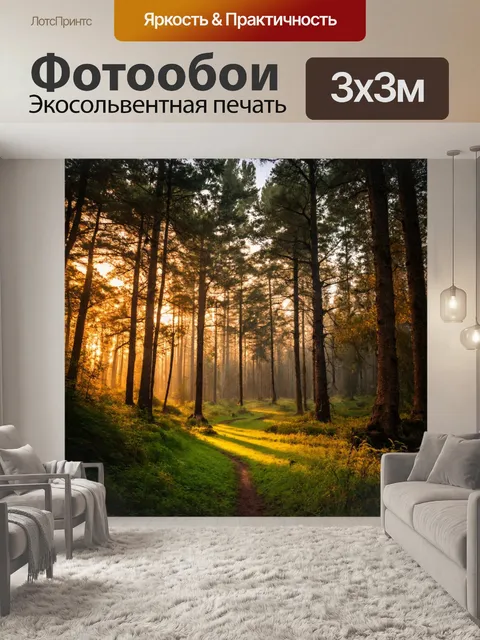 Фотообои лес с мягким светом заката и вечерней тишиной