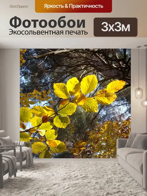 Фотообои Лист