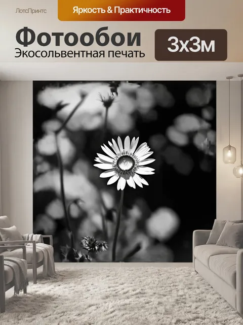 Фотообои высококонтрастное черно-белое фото василька с тонкими