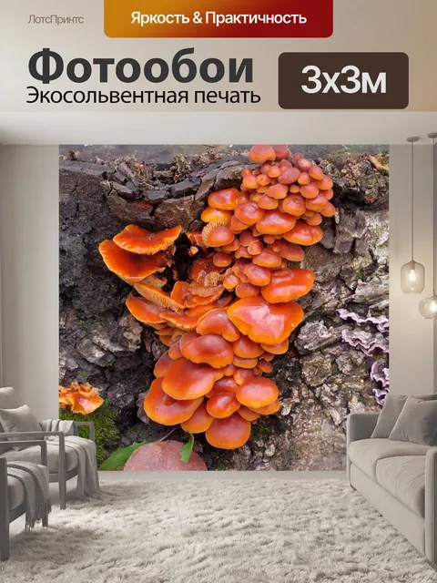 Фотообои Пень