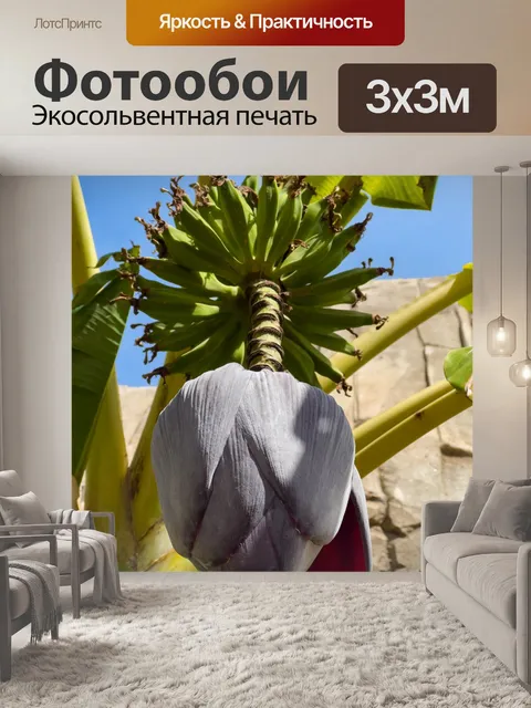 Фотообои банановый цветок