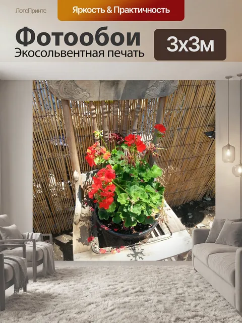Фотообои Старый стул с красной геранью
