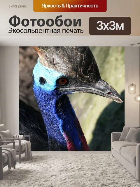 Фотообои Птица