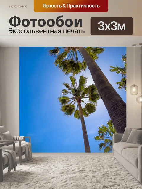 Фотообои Пальмы снизу