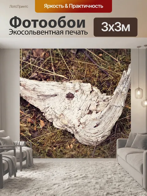 Фотообои Древесина