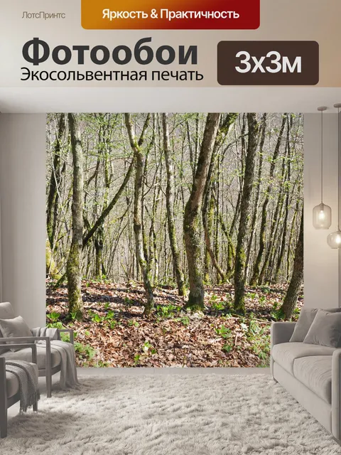 Фотообои Лес