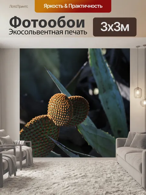 Фотообои Уши кролика Кактусы Фон