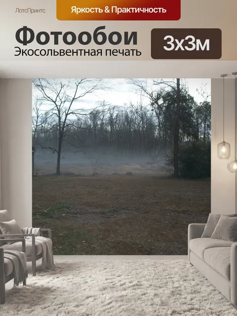 Фотообои Туманное утро