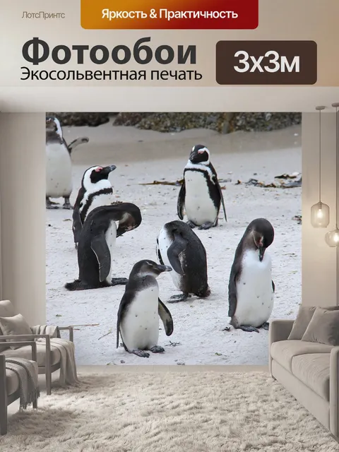 Фотообои Пингвин