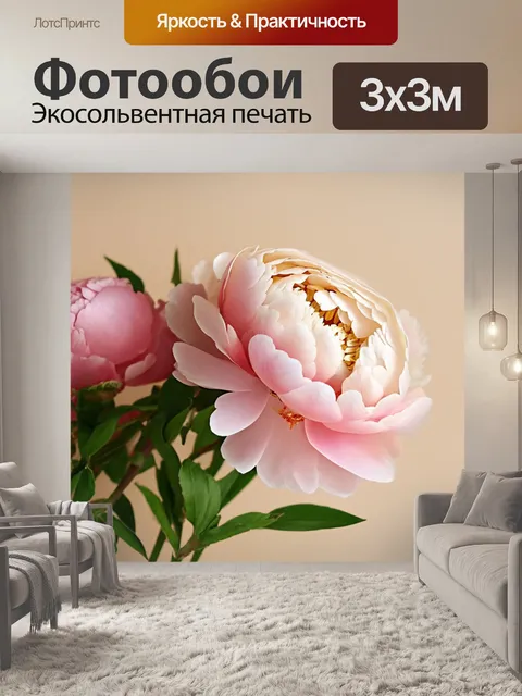 Фотообои пионы в стиле минимализм