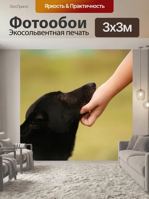 Фотообои Черный собака