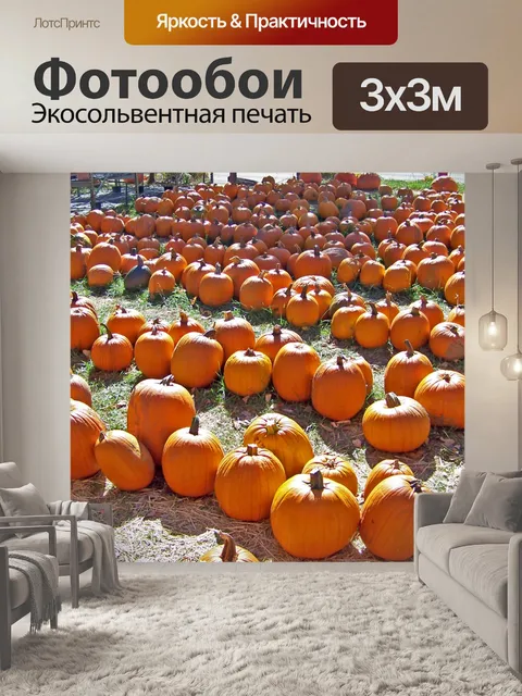 Фотообои Тыквы на продажу