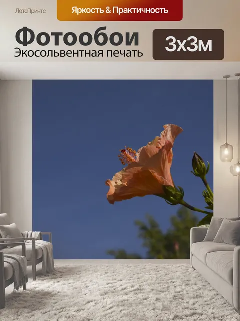 Фотообои Оранжевый гибискус
