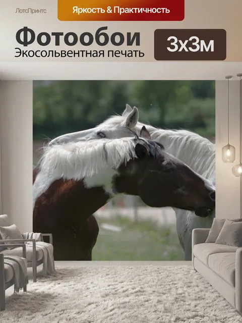 Фотообои Обниматься между лошадьми