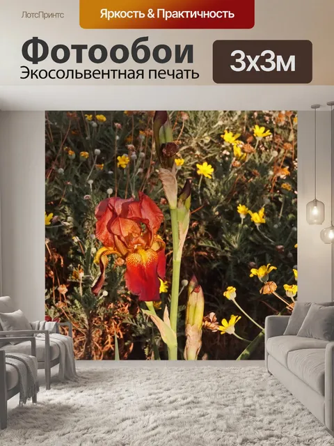 Фотообои лиловый ирис с желтым