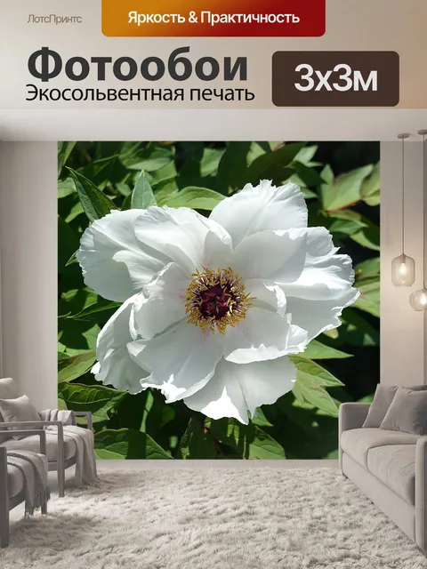 Фотообои Цветок