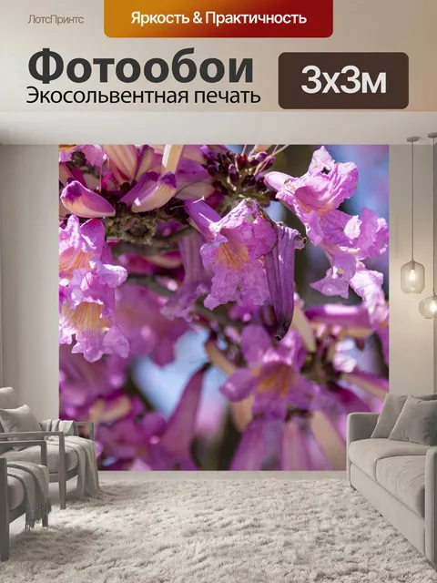 Фотообои Креп Миртл