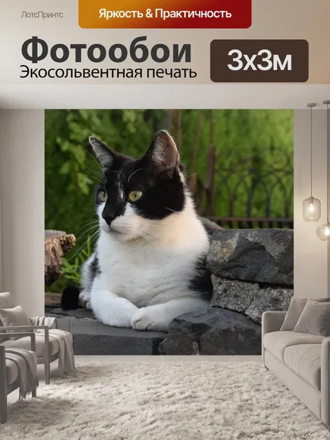 Фотообои Похмелье