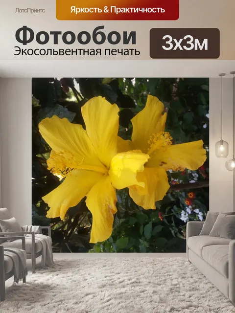 Фотообои желтый мак