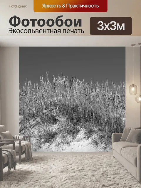 Фотообои Морские овсы