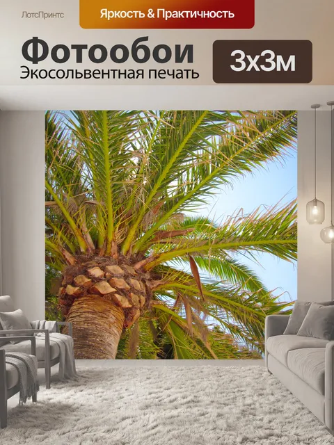 Фотообои Пальма с неба
