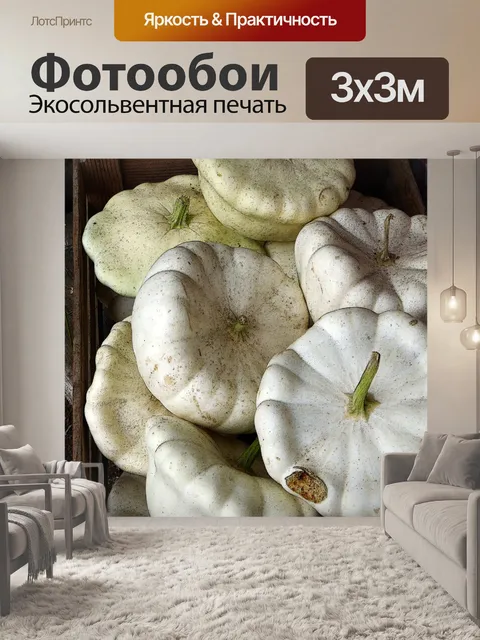 Фотообои обрешетка из белого зимнего сквоша