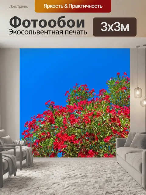 Фотообои Цветы олеандра