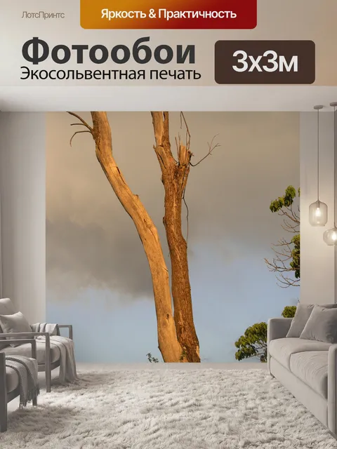 Фотообои Мертвое дерево в жутком свете