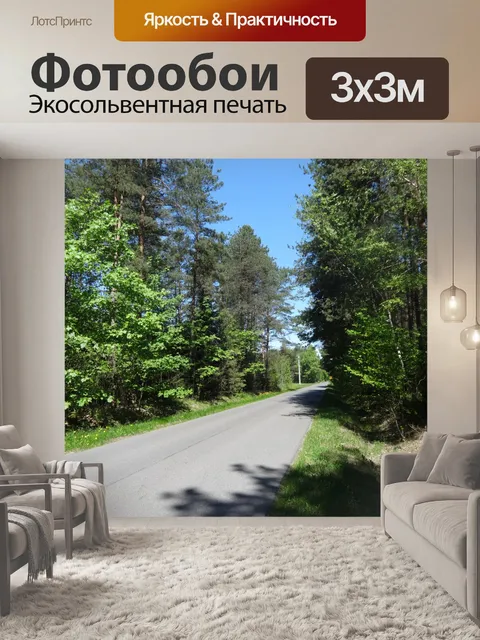 Фотообои Лес в Польше