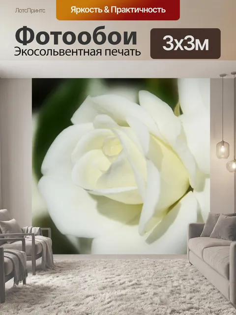 Фотообои Розовый