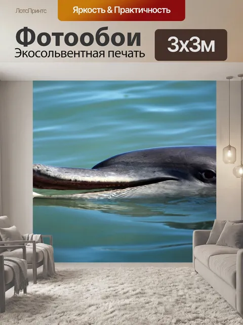 Фотообои Дельфин
