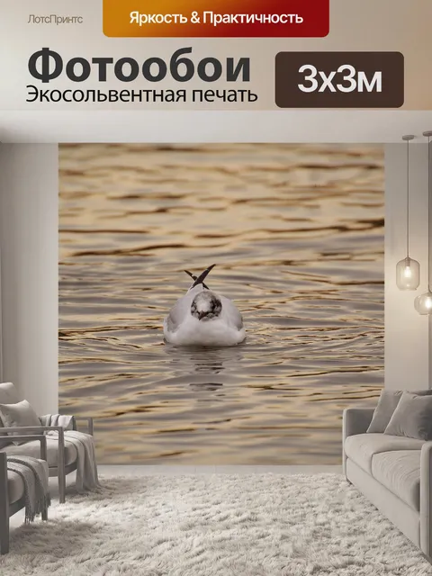 Фотообои Чайка