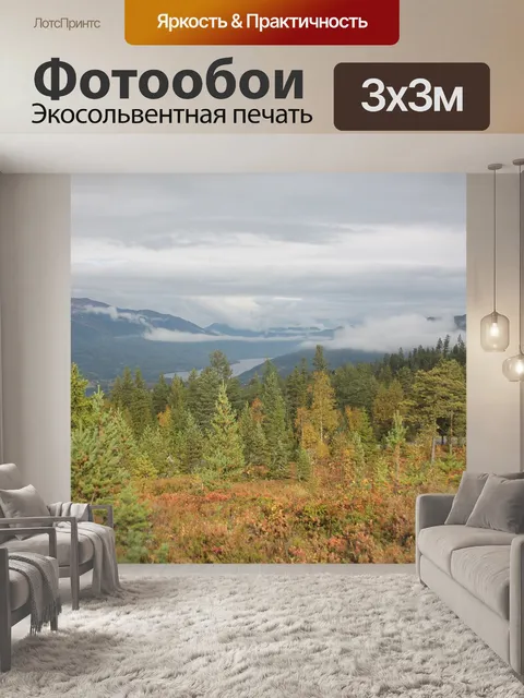 Фотообои Лес