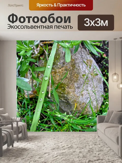 Фотообои Природа