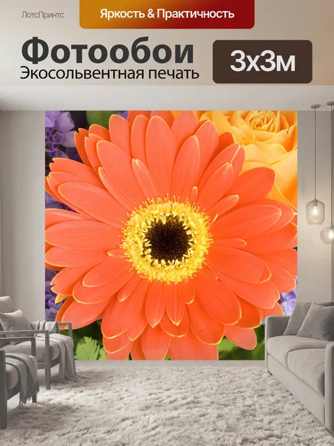 Фотообои Герберы