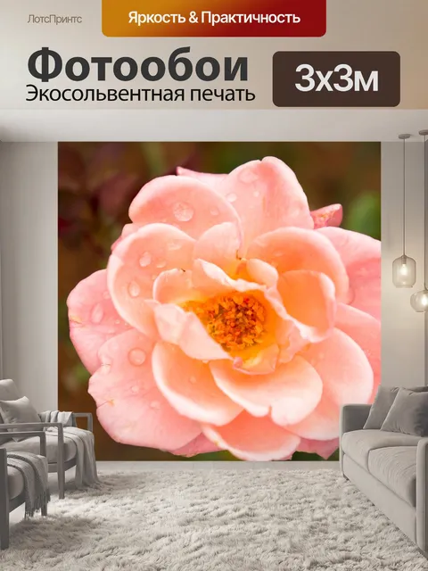 Фотообои Розовая роза
