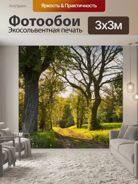 Фотообои Лес