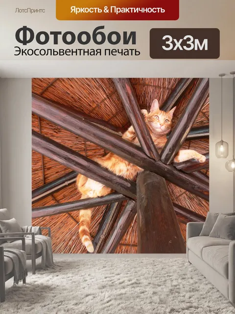 Фотообои Рыжий кот в стропила 3