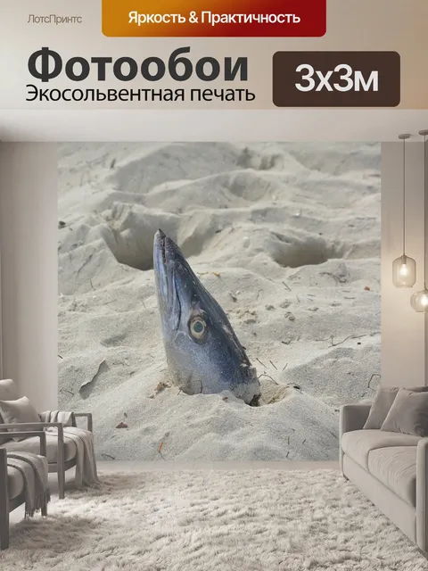 Фотообои Голова рыбы