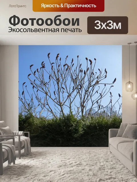 Фотообои Природа