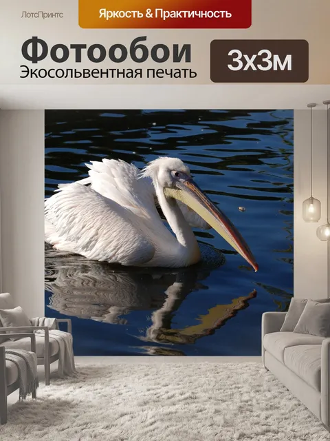 Фотообои Большой белый пеликан