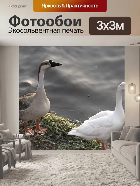 Фотообои Дикие гуси