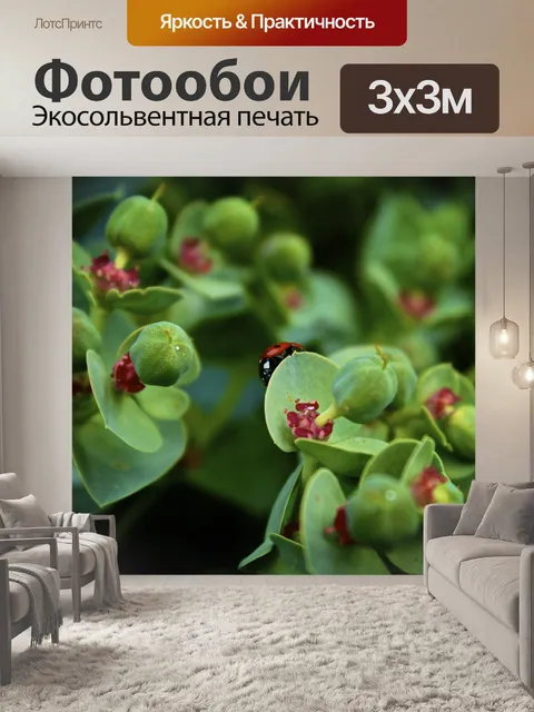 Фотообои Леди ошибка