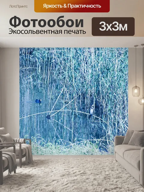 Фотообои Дартер птица сидит на тростнике