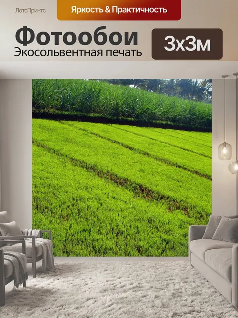 Фотообои Пэдди питомник